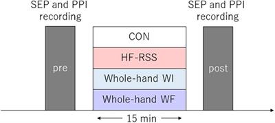 Effect of whole-hand water flow stimulation on the neural balance between excitation and inhibition in the primary somatosensory cortex